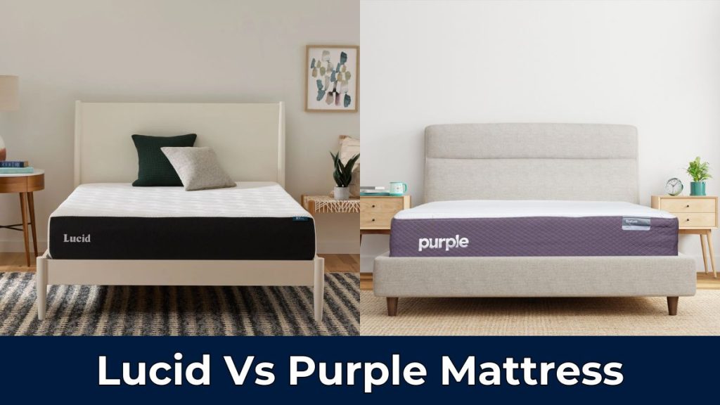 Lucid Vs Purple Mattress