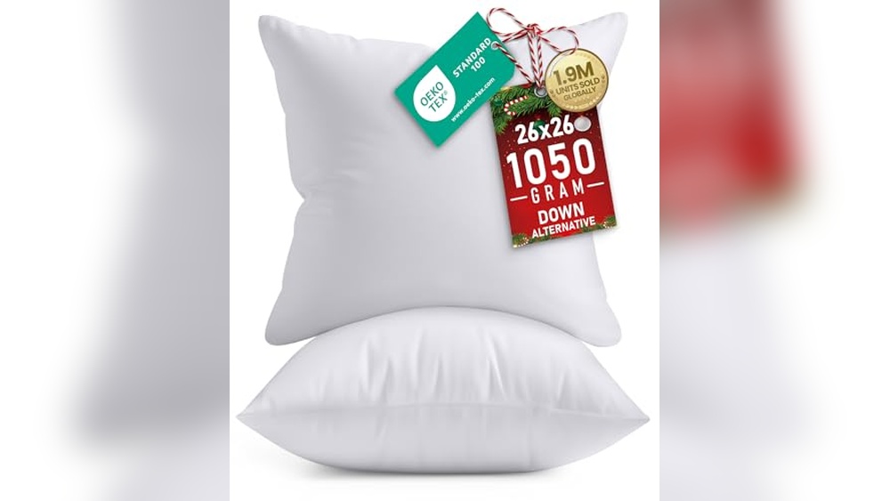 Best Euro Pillows