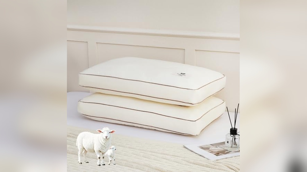 Best Wool Pillows