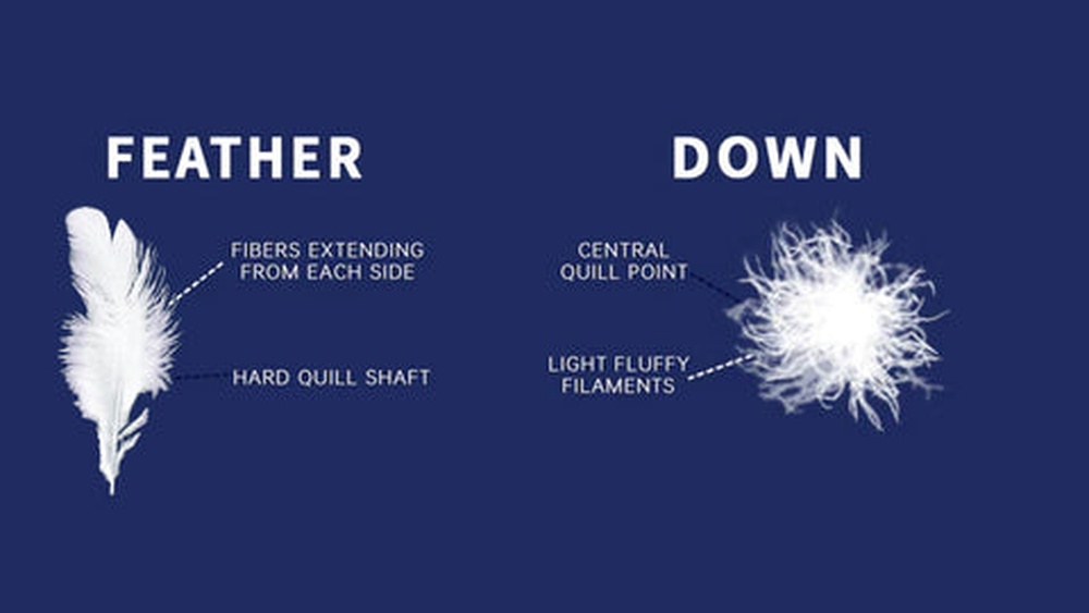 Down Vs Feather Pillows