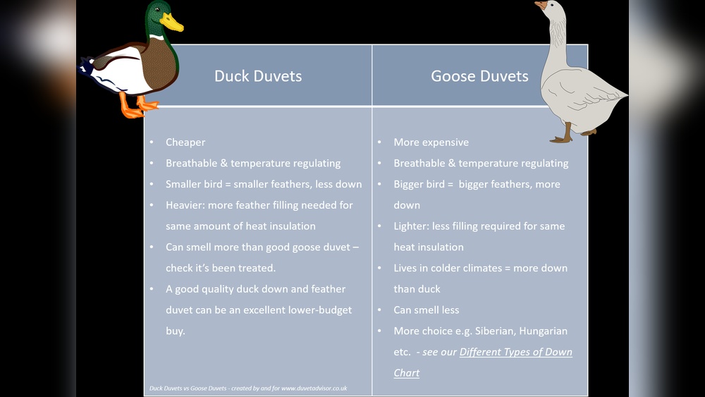 Duck down Vs Goose down Pillows