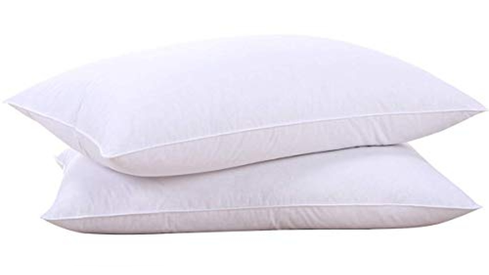 Goose down Pillow Reviews